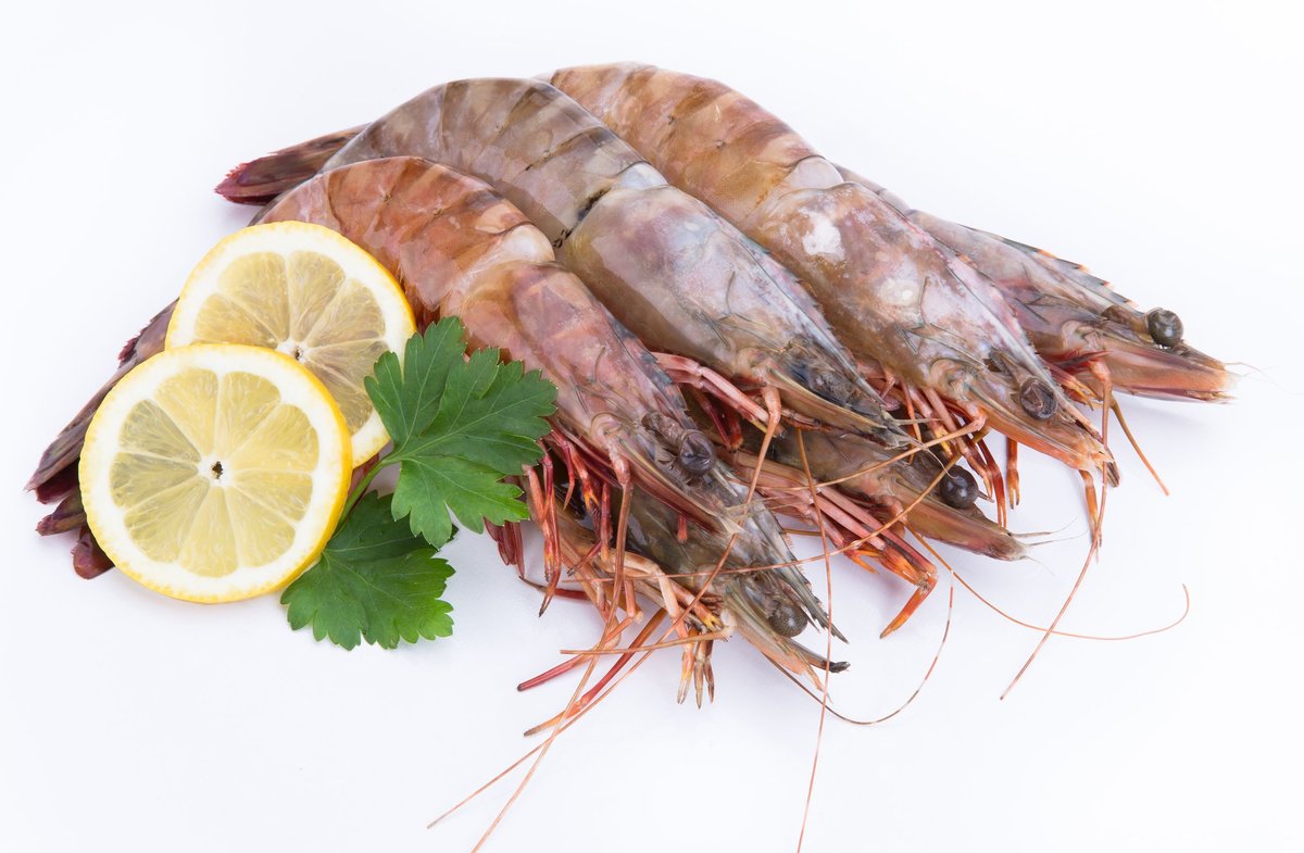 cookcookland vietnam black tiger shrimp size 13 15 26 30pcs pack shrimp size