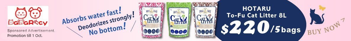 Cat Litter 8L