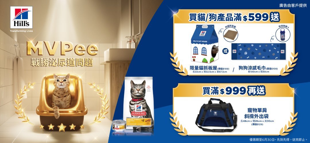 20250519_cat house