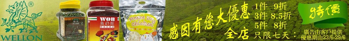 感恩有您大優惠