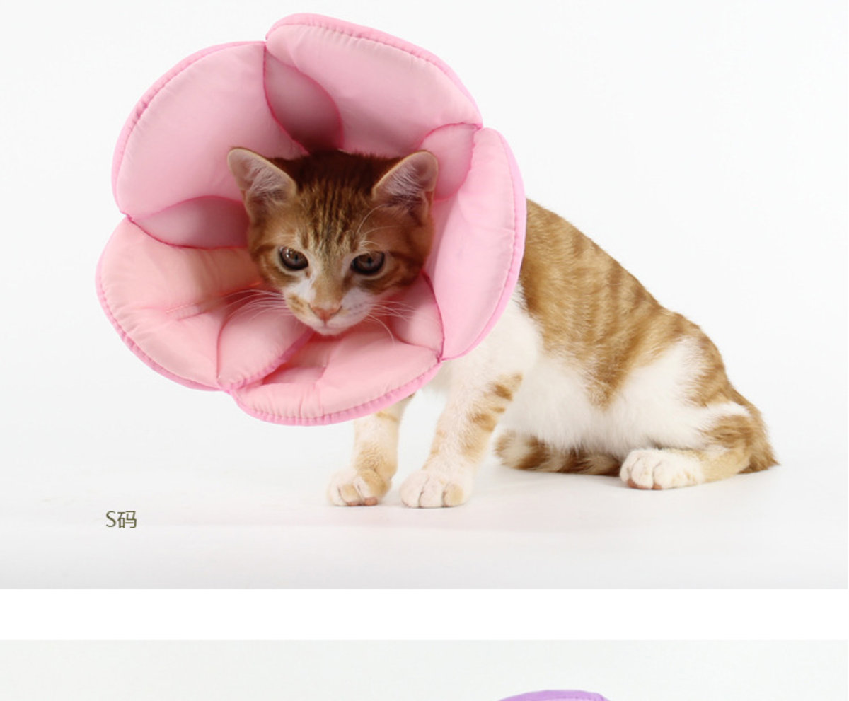 Pet safety Protector extra large (Neck-three size)-Random colour
