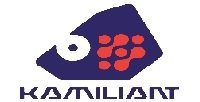 Kamiliant