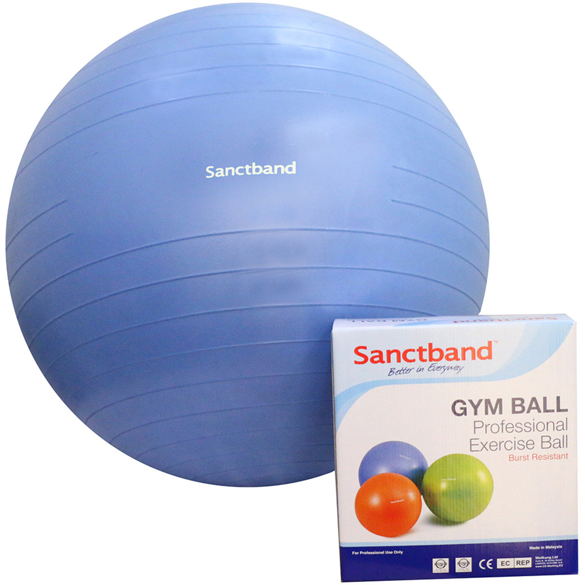 專業運動球 (備3個尺寸) - 75cm直徑/藍色