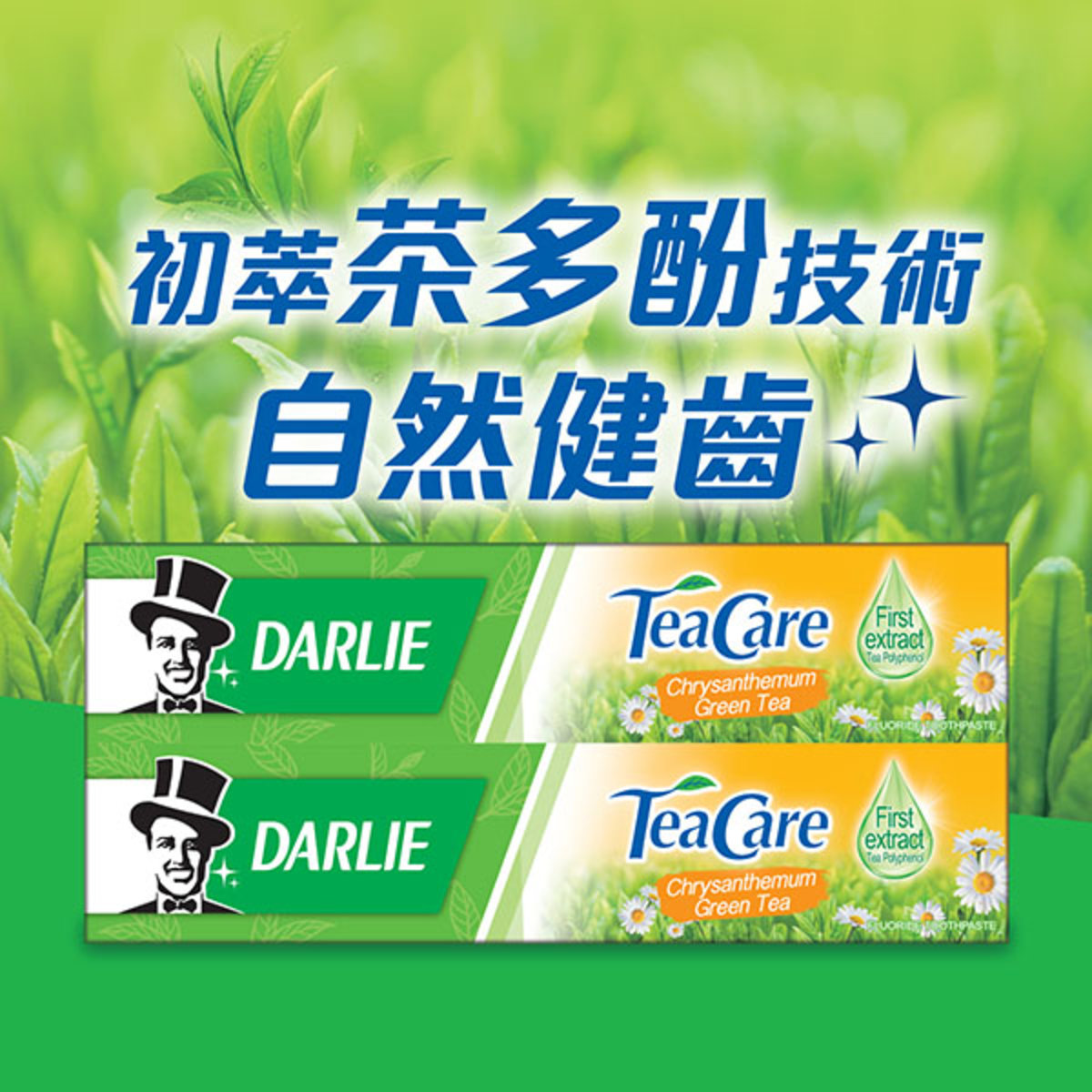 杭菊綠茶有機茶葉牙膏 優惠裝 (新舊包裝隨機發送)