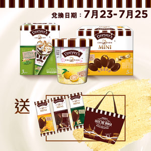 Dreyer's | [E-Coupon] Ice-cream with Cooler Bag Combo Set [Store ...