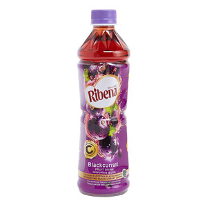 Blackcurrant Fruit Drink 450ML【Before best date: 2024/12/13 or later】 