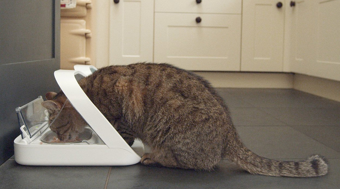 sureflap surefeed microchip pet feeder