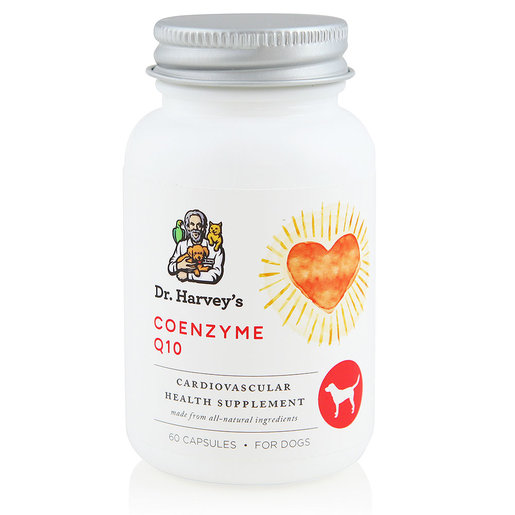 naturel promise fresh dental clean gel