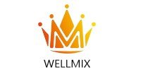 WELLMIX CORPORATIONS LIMITED